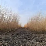 Erdgeschoss Watt'n Mit Garten In Dangast * Varel