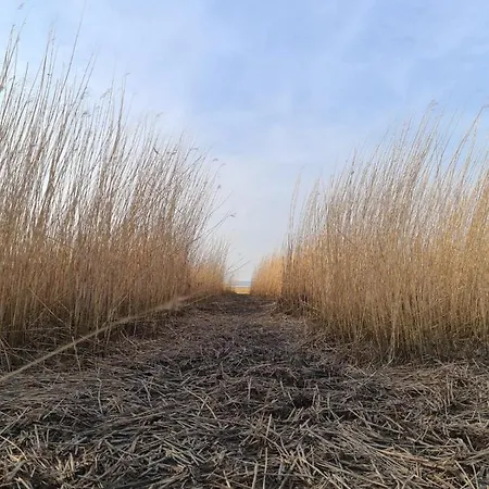 Erdgeschoss Watt'n Mit Garten In Dangast * ファーレル