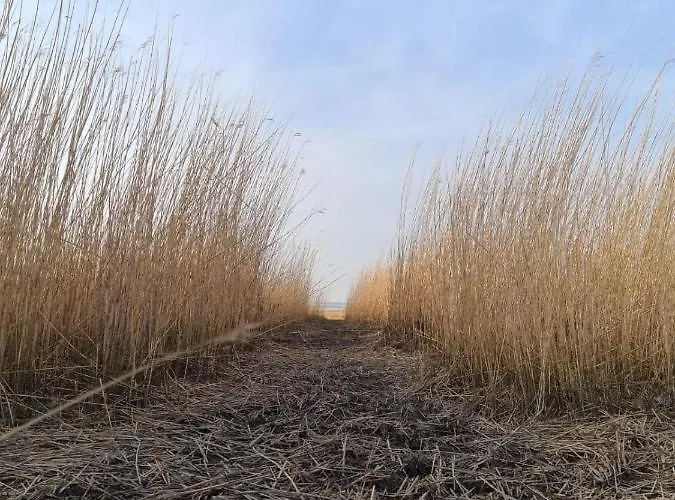 Erdgeschoss Watt'n Mit Garten In Dangast * Varel
